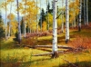 September Aspen