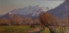 timp. in spring time